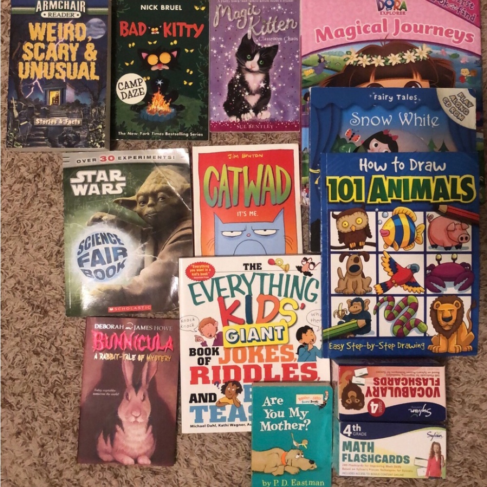 Children’s Books and Flashcards Lot
